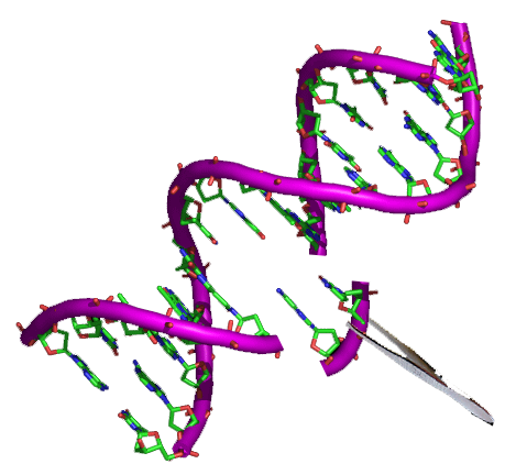 File:Genetic engineering logo.png