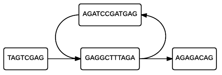 File:Final Sample DNA flow chart.png