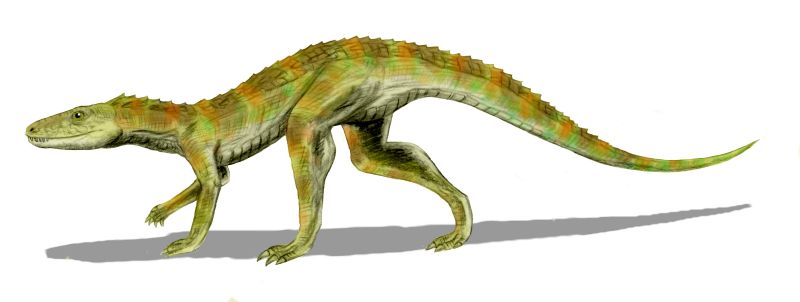 File:Hesperosuchus BW.jpg