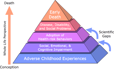 Pyramid with horizontal layers representing, in ascending order, Adverse Childhood Experiences; Social, Emotional, and Cognitive Impairment; Adoption of Health-risk Behaviors; Disease, Disability, and Social Problems; and Early Death. A vertical arrow represents the course of life beginning at the base and moving upward. Smaller arrows depict gaps in scientific knowledge about the links between Adverse Childhood Experiences and latter risk factors.