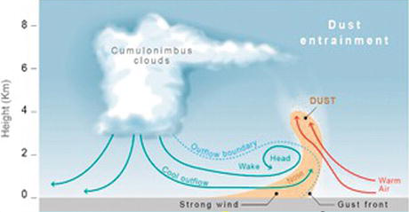 File:Dust storms as a source of aerosolized bacteria.png