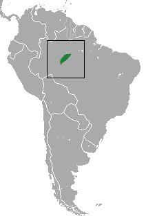 Chestnut-bellied Titi area.png