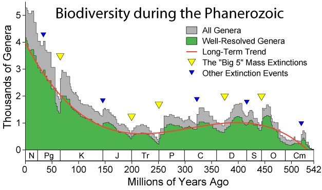 File:Phanerozoic Biodiversity.png
