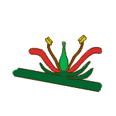 File:Flower morphology attachment sessile.png