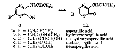Aspergillic acid analog