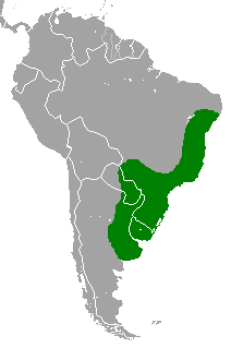 Holochilus brasiliensis range map.PNG