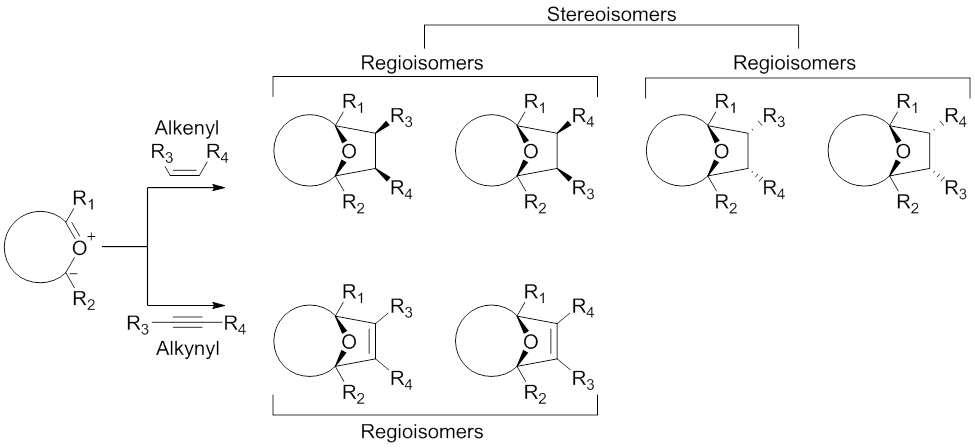 Scheme 9. Products of the 1,3-dipolar cycloaddition reaction between carbonyl ylide dipoles and alkenyl or alkynyl dipolarophiles. Modified from M. Hodgson, D.; H. Labande, A.; Muthusamy, S. In Organic Reactions; John Wiley & Sons, Inc.: 2004.