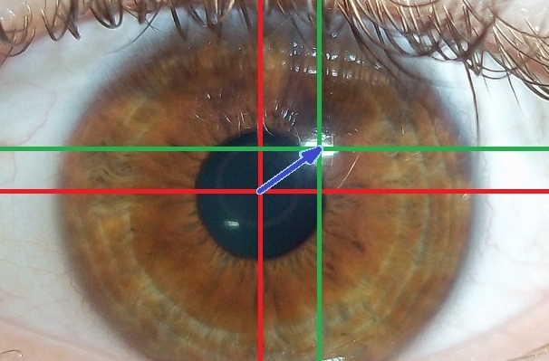 File:Visible light eye-tracking algorithm.jpg