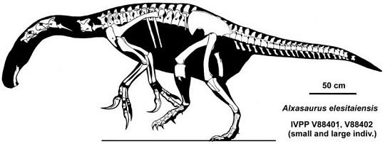 File:Alxasaurus elesitaiensis.jpg