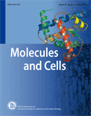 Molecules and Cells cover.gif