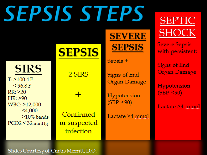 File:Sepsis Steps.png