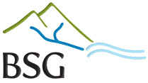 BSG logo.png