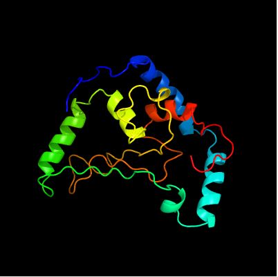 Possible structure of uncharacterized protein C17orf50