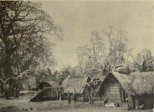File:Bateke Village, Kinshasa - Starr, Frederick, Congo natives - an ethnographic album (1912).png