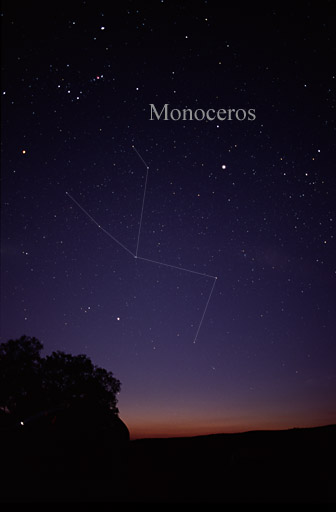 File:MonocerosCC.jpg