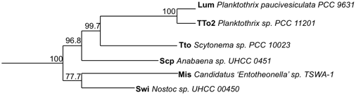 File:Phylogenic Analysis of Swinholide and Structural Variants.gif