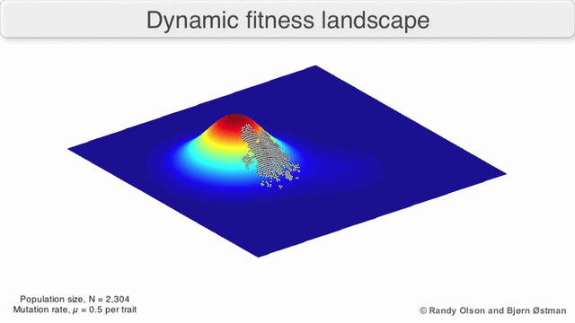 Visualization of a population evolving in a dynamic fitness landscape