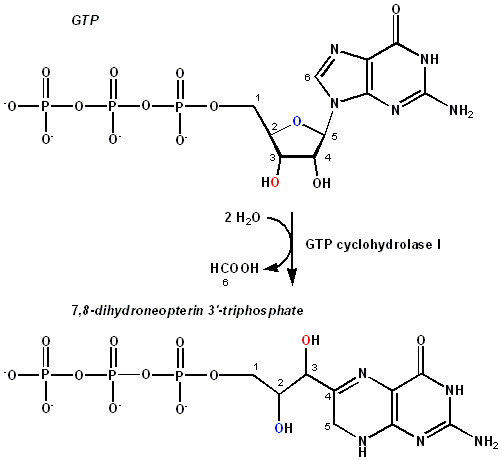 File:GTP-cyclohydrolase-reaction.png