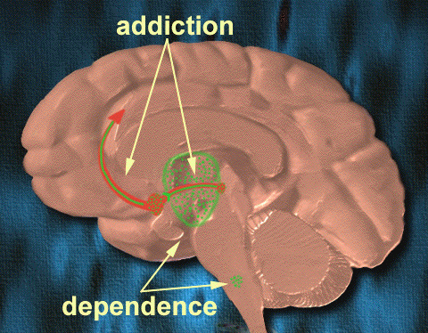 File:Addictiondependence1.png