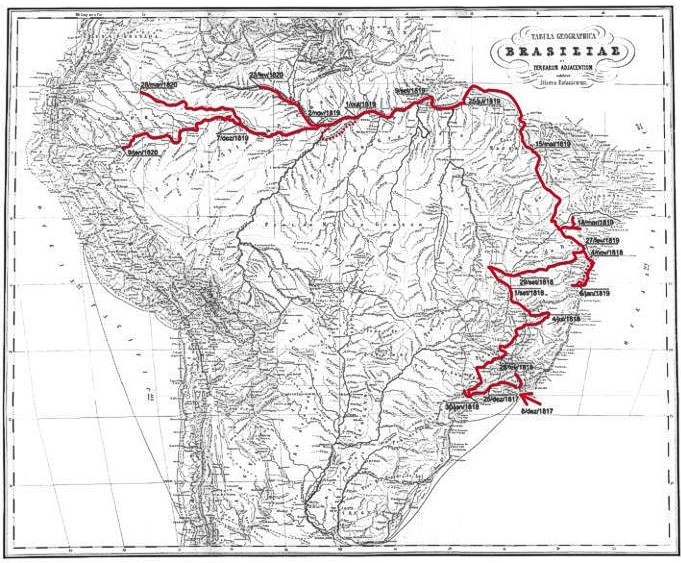 File:Martius and Spix route in Brazil 1817-1820.jpg
