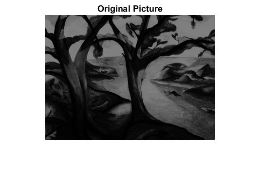 File:Original image (trees.tif).jpg