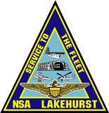 NSA logo - small.jpg