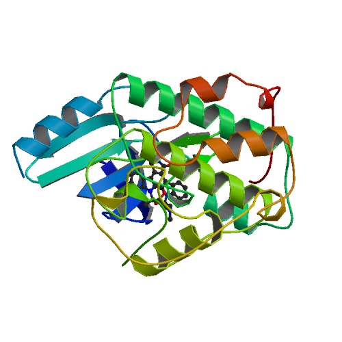 File:PBB Protein CDK2 image.jpg
