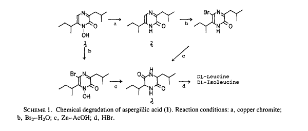 Aspergillic acid reactions 2