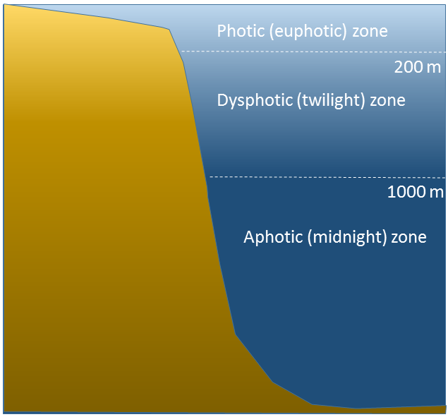 File:Light penetration zones in the water column.png