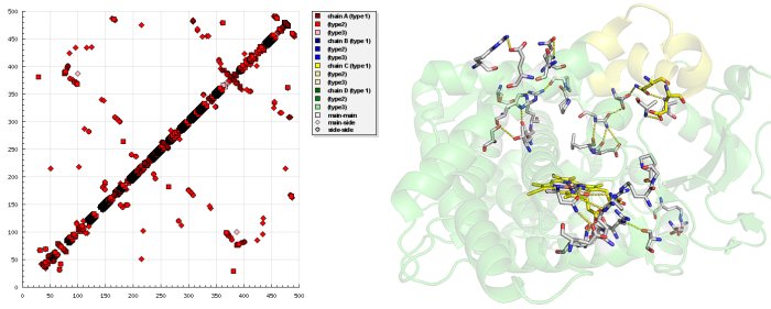 File:HB Plot and structure of Cytochrome P450 2B4 in closed form.jpg