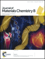 J Mater Chem B cover.gif