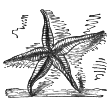 File:Poems of the Sea, 1850 - Hope in God.png
