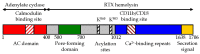 Toxins-09-00300-g001.gif