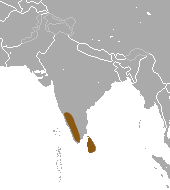 Stripe-necked Mongoose area.png