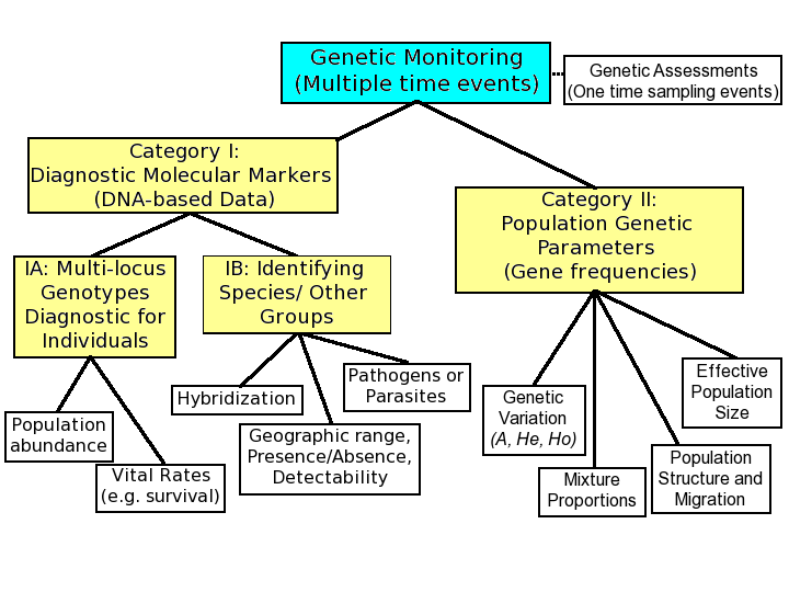 File:Genetic Monitoring Categories.png