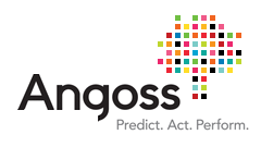 Logo angoss.png