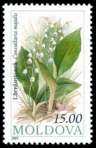 File:Stamp of Moldova 429.gif