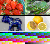 IndexedColorSample (Mosaic).png