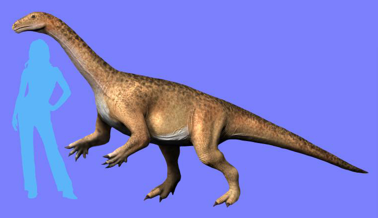 File:Riojasaurus NT.jpg