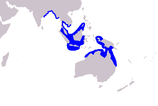File:Cetacea range map Irrawaddy Dolphin.PNG