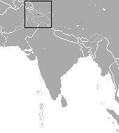 Pale Gray Shrew area.png