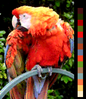 Screen color test Amiga 4096colors HAM.png