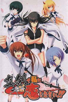 Maji de Watashi ni Koishinasai! DVD-ROM cover.jpg