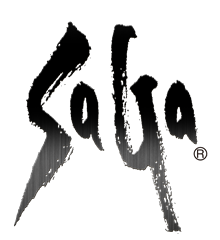 File:SaGa text logo.png