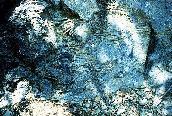 File:Stromatolites.jpg