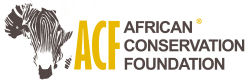 ACF logo.jpg