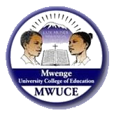 Mwenge University College of Education Logo.png