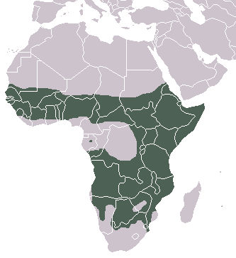 File:Spotted Hyaena area.png
