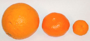 File:CherryOrange.compare (cropped).png