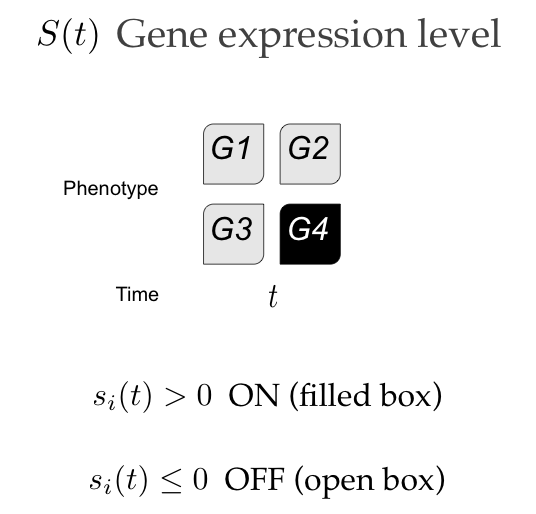 File:GeneExpressionInWagnerModel.png